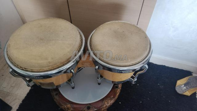 bongos a vendre - 2