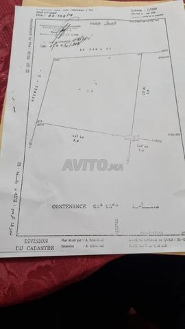 فرصة للاستثمار - 2