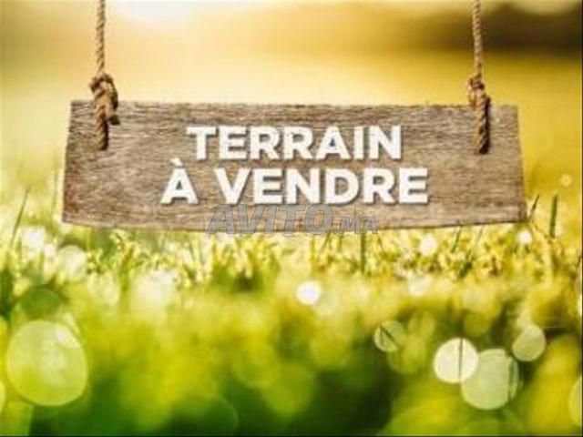 أراضي بمساحات من 1100 متر مربع إلى 2600 متر مربع منطقة فيلا أ كاليفورني