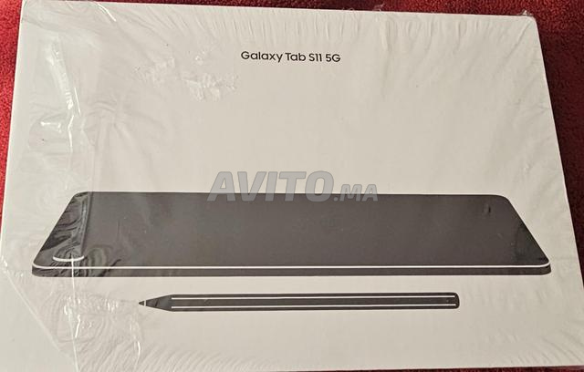 Tablette galaxie s11 256 5g - 2