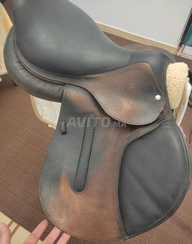 Selle d'obstacles - 2