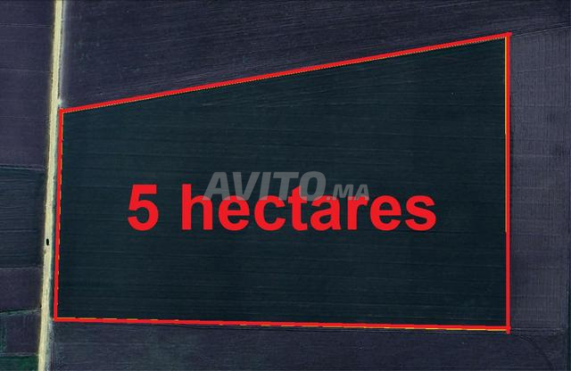 Terrains et Fermes Titrés Région d'Azemmour - 2