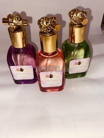 Berrechid et environs - 2