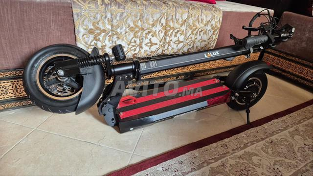 لالوكس 2024 - 2