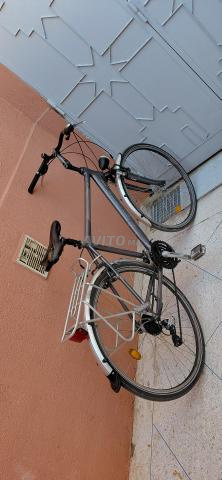 بون نيتاس - 2