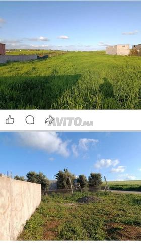 Terrain agricole titré avec permis de construire - 2