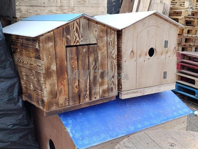 مكان مخصص للكلاب - 2