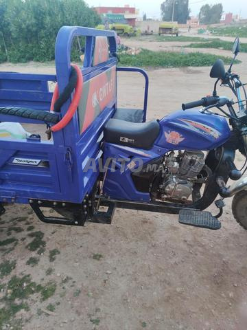 خميس الزمامرة - 2