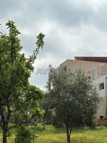 Ferme Equipée à vendre - 2