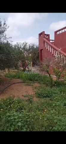 800 متر محفظة فيها دار - 2