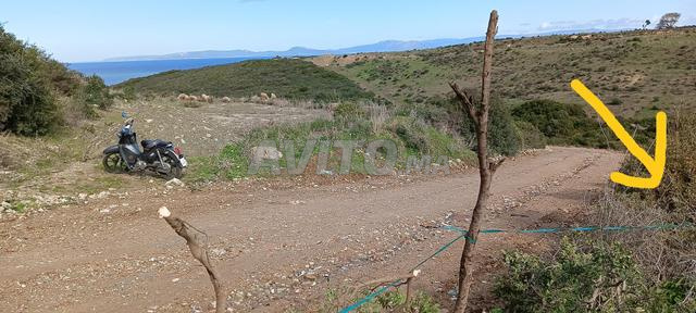 أرض مطلة على البحر والجبل في منار - 2