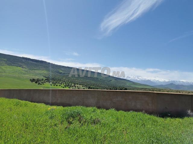 أرض رائعة مسيجة بمساحة 10.000 متر مربع في أوريكا