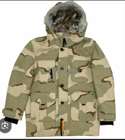 جاكيت LACOSTE أصلي - 2