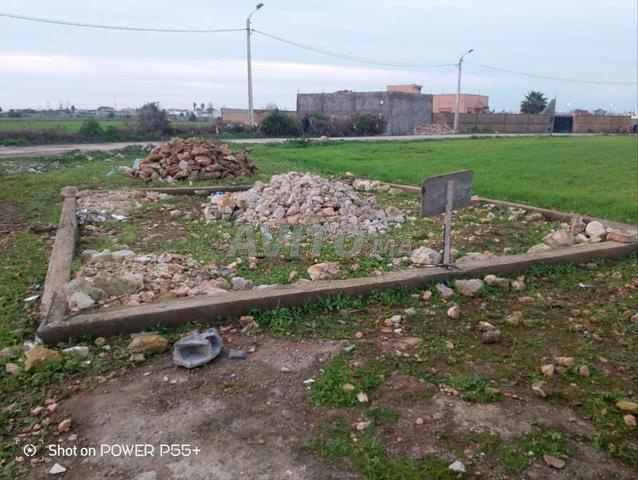 مدينة الجديدة - 2