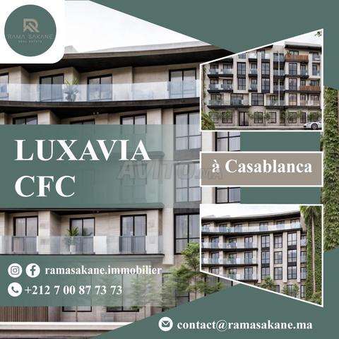 شقة للبيع 55 متر مربع في الدار البيضاء - 2