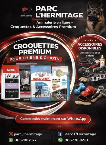 وجبات بريميوم وإكسسوارات للكلاب