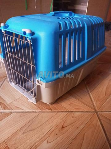 كاج لحمل القطة بجودة جيدة وثمن مناسب😍 - 2