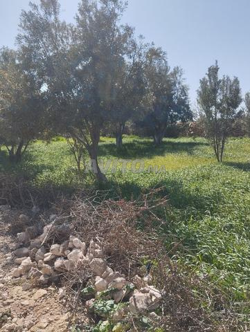 Terrain à vendre - 2