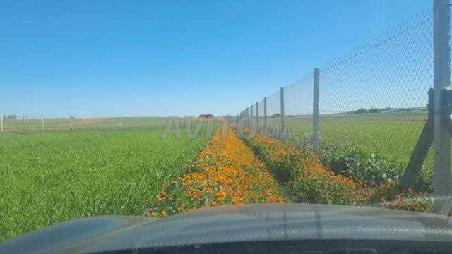 مزرعة للبيع - 2