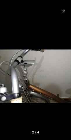 دراجة باتافوس - 2