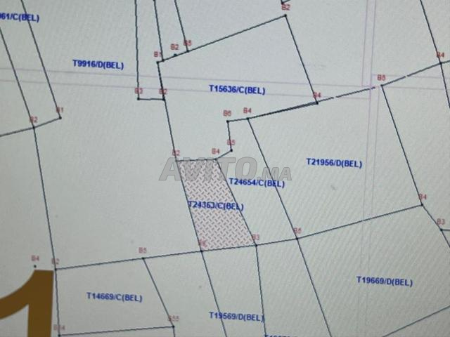 للبيع أرض محفظة 12.000 م² بأولاد عزوز - 2