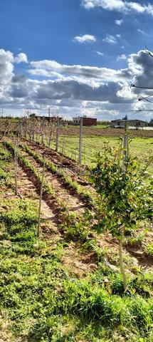 قطعة أرضية محفظة للبيع - 2