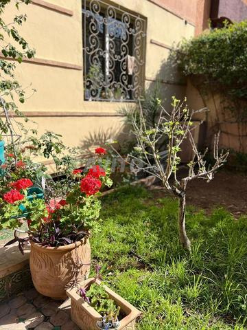 Vente Villa 5 pièces de 250 m2 à Marrakech - 2