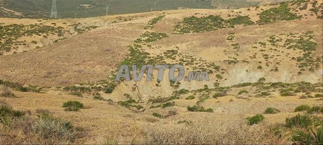 فرصة ذهبية، أرض في منطقة فيلا أ1 - 2