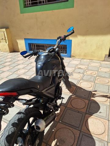 Cimatti Monster Evo2 - 2