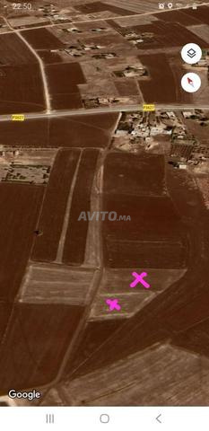 تيراس للبيع - 2