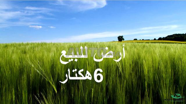 أراضي موثقة في بير جديد - 2