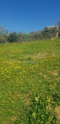 الفرصة البقعة الأرضية محفظة في النواحي تطوان - 2