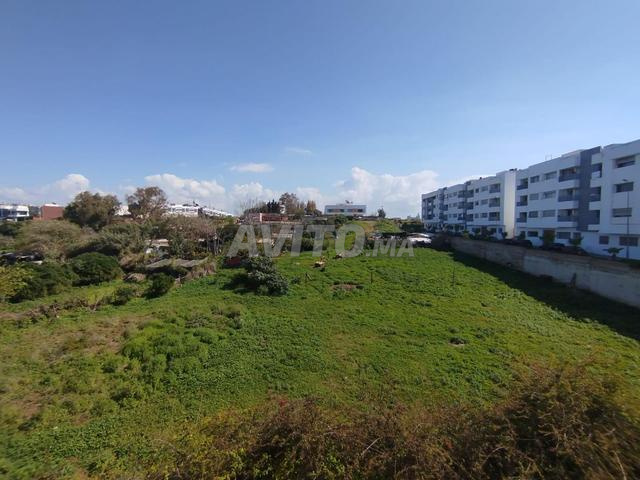 Bel Appartement proche des commodités à Harhoura