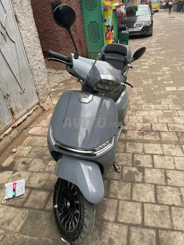 موتو موجيتو - 2