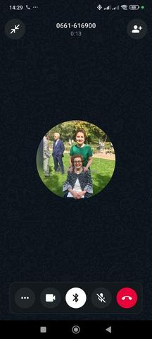 Bichon Maltais pure race de 40 jours - 2