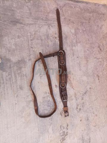 حزام تسلق أعمدة كهرباء - 2