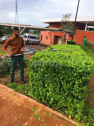 خدمة صيانة حدائق شاملة تقليم وري وتسميد. - 2