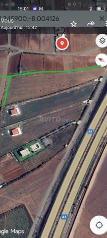 بين بير الجديد واثنان شتوكة قرب طريق السيار - 2