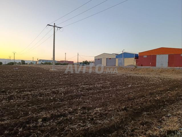 Terrain titré Fès Aïn Allah - 2