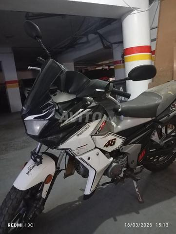 Jagwar 46 ghazala tman monasib - 2