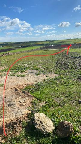 Terrain agricole à vendre titré - 2