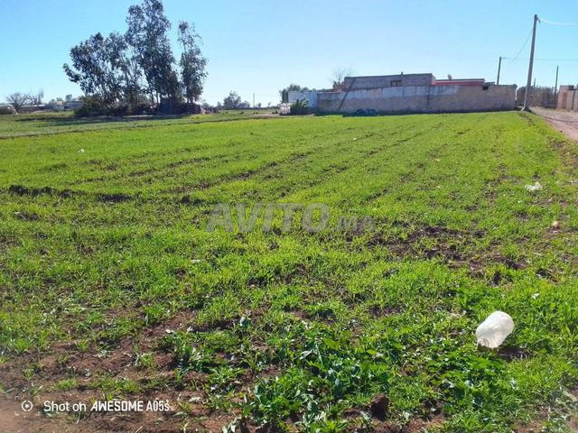 أرض 1000 متر مربع للبيع - 2