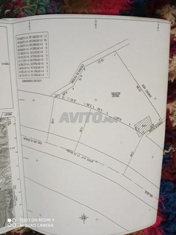 بين الوديان - 2