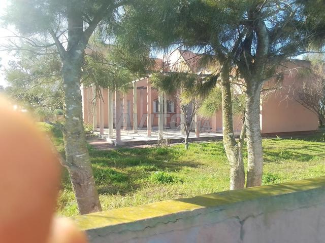 فيرما 18 دو18 هكتار - 2