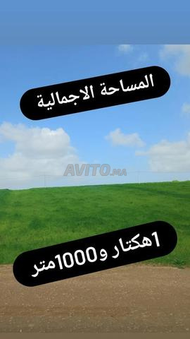 Terrain à vendre 1 hectare et 1000 mettre - 2