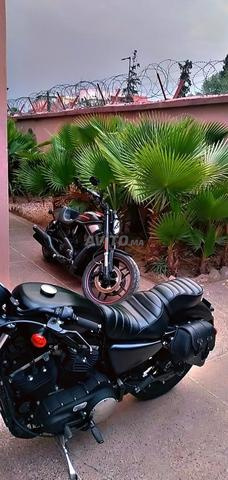 Harley Davidson iron 883 - 2