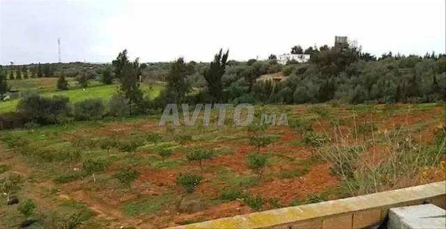 Ferme à Assilah - 2