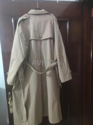 كبردينال للبيع - 2