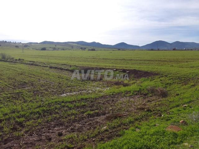 Terrain agricole arrosé 12 ha - 2