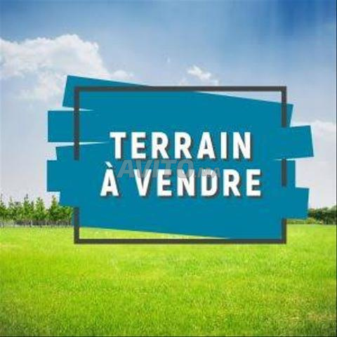 Terrain agricole titre à vendre à Benslimane